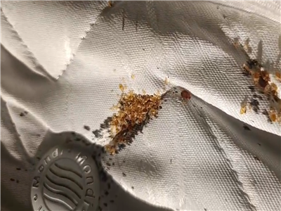 Tam Alan Isıl İşlem (Whole Room Heat Treatment)