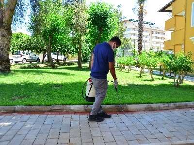 Kahverengi Çizgili Hamam Böceği İlaçlamasında Akdeniz Hijyen!