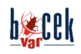 BöcekVar