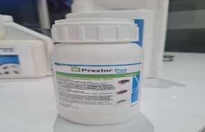 Prextor Duo 250 Ml. (Sivrisinek-Hamamböceği-Pire)